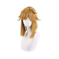 ゼルダの伝説 ティアーズ オブ ザ キングダム リンク コスプレウィッグ(コスプレウィッグ)