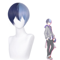 プロジェクトセカイ カラフルステージ！ feat. 初音ミク 青柳冬弥 コスプレウィッグ(202×202)