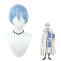 葬送のフリーレン ヒンメル コスプレウィッグ(コスプレウィッグ)