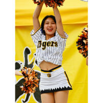 阪神タイガース 六甲おろし Tigers Girls コスプレ衣装 プロ野球 チアガール ユニホーム ジャージ