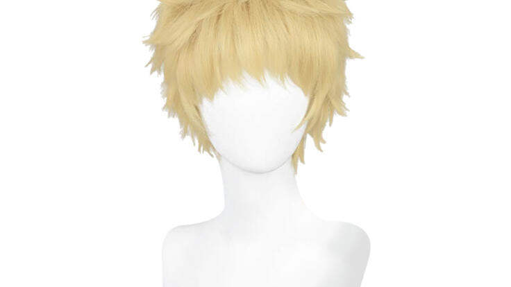 ハイキュー!! 月島蛍 コスプレウィッグ - Costowns