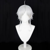 無職転生 ～異世界行ったら本気だす～ 無言のフィッツ シルフィエット コスプレウィッグ(コスプレブーツ、ウィッグ、道具でおすすめの商品)