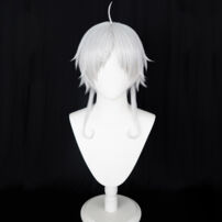 無職転生 ～異世界行ったら本気だす～ 無言のフィッツ シルフィエット コスプレウィッグ(コスプレウィッグ)