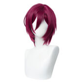 あんさんぶるスターズ！ 七種茨 コスプレウィッグ(コスプレブーツ、ウィッグ、道具でおすすめの商品)