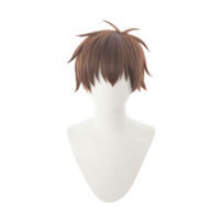この素晴らしい世界に祝福を！ 佐藤和真（カズマ） コスプレウィッグ(コスプレウィッグ)