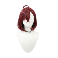 ダンダダン 綾瀬桃 コスプレウィッグ(コスプレウィッグ)