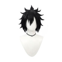 FAIRY TAIL グレイ・フルバスター コスプレウィッグ(コスプレウィッグ)