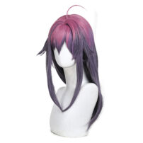 しかのこのこのここしたんたん 虎視餡子 コスプレウィッグ(コスプレウィッグ)