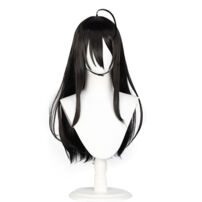 時々ボソッとロシア語でデレる隣のアーリャさん 君嶋綾乃 コスプレウィッグ(コスプレウィッグ)