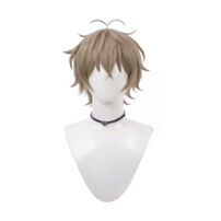 WIND BREAKER 獅子頭連 兎耳山丁子 コスプレウィッグ(コスプレウィッグ)
