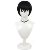 らんま1/2 早乙女乱馬 コスプレウィッグ(送料無料)