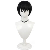 らんま1/2 早乙女乱馬 コスプレウィッグ(コスプレウィッグ)