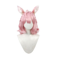 hololive ホロライブ 博衣こより パーカー水着衣装 コスプレウィッグ 尻尾 耳(コスプレウィッグ)