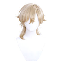 崩壊：スターレイル アベンチュリン コスプレウィッグ(コスプレウィッグ)