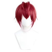 ディズニー ツイステッドワンダーランド リドル・ローズハート コスプレウィッグ(コスプレウィッグ)