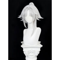 崩壊：スターレイル 飛霄 コスプレウィッグ(コスプレウィッグ)