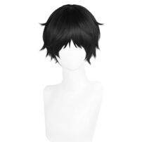 四月は君の嘘 有馬公生 コスプレウィッグ(コスプレウィッグ)
