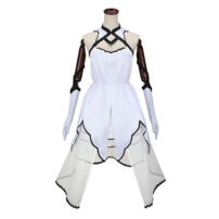 Fate/Grand Order アルクェイド・ブリュンスタッド コスプレ衣装(FATEシリーズ コスプレ衣装)