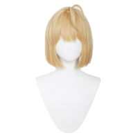 月姫 アルクェイド・ブリュンスタッド コスプレウィッグ(コスプレウィッグ)