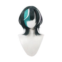hololive ホロライブ 輪堂千速 コスプレウィッグ(コスプレウィッグ)