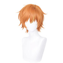 プロジェクトセカイ カラフルステージ！ feat. 初音ミク 東雲彰人 コスプレウィッグ(コスプレウィッグ)