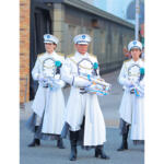 ハロウィーンホラーナイト2024 ブルーローズ隊 制服 コスプレ衣装