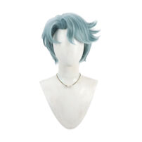 にじさんじ フリオドール コスプレウィッグ(コスプレウィッグ)