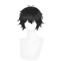 WIND BREAKER 獅子頭連 十亀条 コスプレウィッグ(コスプレウィッグ)